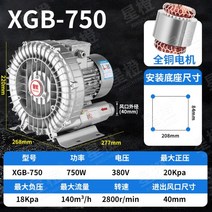 고출력 링브로워 흡입 송풍기 산업용 링블로워, 750W삼상380V(전동선), 1개