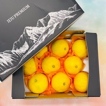 산지직송 프리미엄 제주 황금향 선물세트, 1box, 4.5kg 중과(18-24과) 선물용