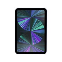 아이패드미니 6세대 64GB 256GB WIFI/LTE 정품, Wi-Fi, 랜덤