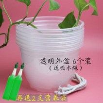 홈 가드닝 사무실 사각 인테리어 화분 자동흡수 세트 녹라식물 물 안주기 원형비닐 투명저장, 02 홍대+투명외대 3세트(영양제), 01 17CM