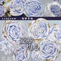 블루장미 마스킹테이프 다꾸 pet 떼어쓰는, A