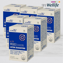 [오늘발송] 루테인 지아잔틴 6박스 6개월분 고함량 루테인 복합비타민A B C 눈건강 영양제 대상 루테인 지아잔틴 90일분