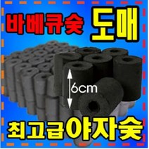 참숯 차콜 야자숯 망그로브숯 망르로브참숯 망그로브숯박스 봉지참숯 바베큐참숯 일회용참숯 번개탄 야자숯 야외용참숯, 참살이야자숯1박스120개, 참살이야자숯1박스120개