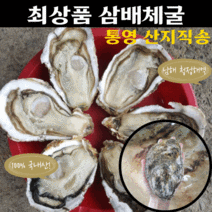 산지직송 최상급 최상품 삼배체굴 채취하여 출하 되는 통영 각굴 석화 굴 제철음식 횟감 용 생굴 2kg 3kg, 삼배체굴 2kg, 1개
