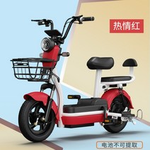 가성비 전기 자전거 미니 장거리용 출퇴근 자출용 배달용, 배터리75-95km-진 레드, 옵션