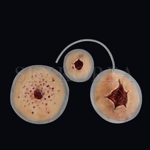 SFX.자가점착 외상피부 병원 경찰 군부대 응급처치 훈련교재 상처치료훈련 시뮬레이션 연습키트, SFX.외상피부_총상 세트