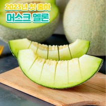 [고당도 육즙 뿜뿜] 2023년 첫출하 고당도 전라남도 머스크 멜론 1.2~1.6kg(특) 1.6kg~2.0kg(특대), 머스크 멜론 1.2kg~1.6kg(특) 2수, 2개