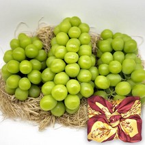 [신선한]국내산 망고포도 샤인머스켓 선물세트 2kg 4수(보자기), 단품