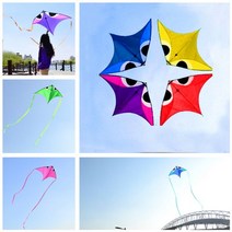 카이트 스포츠연 거북이 연 비행 동물 서프 volant 패러글라이더 서핑 문자열 릴 야외 aquilone, Random Color
