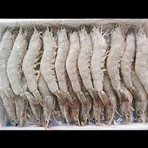 웰메카 국내산 흰다리새우 2kg 명절 선물 특선 제철 새우