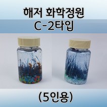 해저 화학정원만들기 C-2타입(5인) aco-194 해저정원키트 오피스안