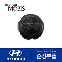 NF쏘나타 브레이크오일 캡 (탱크 통 뚜껑 덮개 마개)