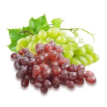 Unifrutti 외 씨없는 청포도 크림슨 적포도 1kg 2kg선택, 거봉 레드글로브