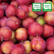 GAP 저탄소 김천 햇 자두 후무사 추희 대석자두 로얄과 800g 1.6kg, 1개