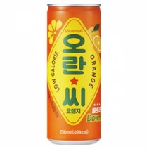 오란씨 오렌지 250mlx30캔x2박스, 상세페이지 참조