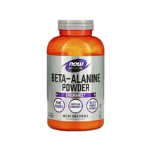 나우푸드 Now Foods 스포츠 베타알라닌 파우더 분말 500g 코셔