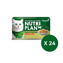 뉴트리플랜 캔 흰살참치와 멸치 160g x24개, 단품