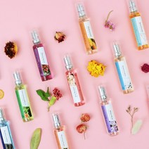 더허브샵 미니향수 12종 명품 퍼퓸 향기 휴대용 18ml, 베이비파우더, 베이비파우더