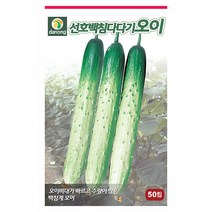일성 백다다기 오이 씨앗 50립 - 흑침오이 반백오이 오이씨앗 야채씨앗 채소씨앗 채소재배 종묘 종자 베란다 텃밭 씨 씨앗 호박 방울토마, 04_다농_선호백침다다기 오이(50립)