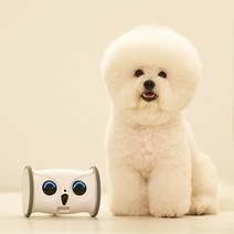 [귀여운반려로봇] 스마트케어봇 코지 강아지움직이는장난감 펫CCTV 노즈워크 펫캠 간식로봇