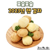 [한가락몰] 감자 20kg / 대 / 식자재용 대용량 벌크