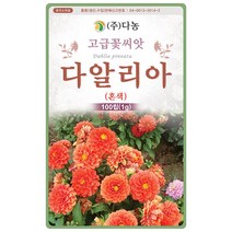 대엽 민들레 1000립 - 야생화 씨앗 꽃씨 씨 꽃씨앗 야생화씨앗 고급꽃씨 고급꽃씨앗 민들레씨 민들레씨앗, 03_다농_다알리아(혼색)(100립)