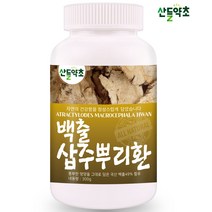 국내산 백출환 300g 삽주뿌리환, 1통