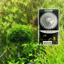 고운물 모스활착용 뜨는돌 1개 (ETB), 단품