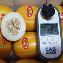 제철과일 성주참외 못난이 꿀 하우스 참외 2.5kg 5kg, 혼합과, 가정용 혼합과 (12~16과) 5kg