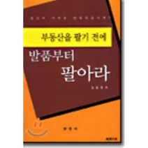 부동산을 팔기 전에 발품부터 팔아라, 부연사, 김성현 저