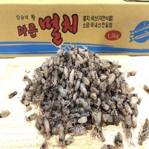 가성비 좋은 냉동꼴뚜기 중 인기 상품 소개