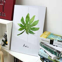 꾸밈데코_전면아크릴코팅액자_싱그러운햇살머금은잎(ca114)_인테리어액자벽장식월데코벽걸이액자, 1타입아랄리아