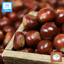 전북 순창 강천골 옥광밤 (대) 1kg