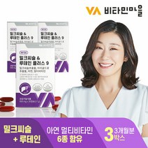 비타민마을 간건강 눈건강 밀크씨슬 루테인 플러스 9 3박스 3개월분 실리마린 눈영양제 9중, 단일속성
