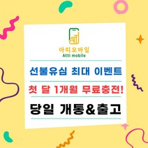 선불폰 선불유심 선불개통 유심개통 무료충전 월정액요금제 당일개통 아띠모바일, [SK] 퍼펙트(무료충전), 카톡채널(@아띠모바일)로 개통신청