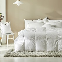 헝가리 거위털 이불솜 태평양물산 프라우덴 구스다운 650g 850g 1000g 솜털90% 구스이불, 퀸A(850g)