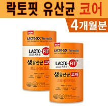 식약처인증 락토핏 생 유산균 코어 2g x 60포 프로바이오틱스 아연 배변활동 도움 장건강 개선 체지방 감소 다이어트 도움 유산균 증식 유해균 억제 건강기능 식품 홈쇼핑 영양제, 2박스(4개월)