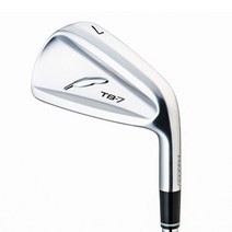 2023 포틴 TB7 단조 스틸 6i/7i 아이언세트[성화스포츠정품/커버포함], 6i NS PRO MODUS3 105 S