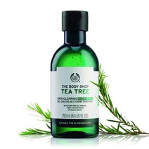 영국 더바디샵 THE BODY SHOP 티트리 스킨 클리어링 바디워시 250ml, 1팩