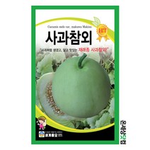 사과참외 500립 / 씨앗 종자 이색종자 과일 텃밭 채소 키우기