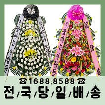 꽃에빌린말 최저가 상품 TOP10