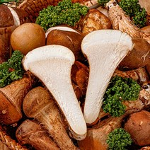 농가살리기 국내산 참송이버섯 향기로운 솔향을 담은 쫄깃담백한 참송이 버섯 500g 1kg, [C등급] 참송이버섯 500g