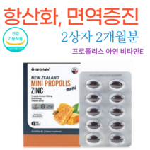 다줄태양 뉴질랜드 프로폴리스 목넘김 편한 미니캡슐 아연 비타민E 함유 프로폴리스 효능 면역력 높이는 영양제 효과, 2상자(650mgX60캡슐)