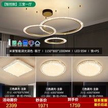레이시 할로윈조명 구미 경럭셔리 음식 청주 샹들리에조명, T05-지능 통제 대출금 3실, 기본