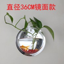 벽걸이 화분 어항 부레옥잠 장미물배추 쿠바펄 플래티 개운죽 칼라테트라 걸개식 자라풀 가습 인테리어, 미러 오버사이즈(230CM)+사은품