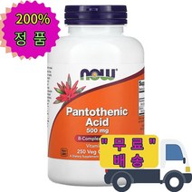 나우푸드 복합 비타민 B5 B군 판토텐산 500 mg 250 베지 캡슐 칼슘 함유 코셔, 1개, 기본