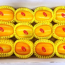 성주 참외 고당도 가정용 선물용 2kg 3kg 5kg 10kg, 정품 성주참외 10kg(30-36과)
