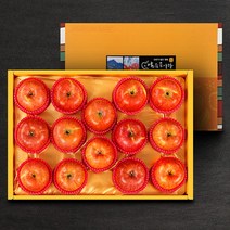 추석 과일 선물세트 [22년 햇사과][산내들]명품 밀양얼음골 사과선물세트 4.5kg(14과), 단품없음