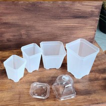 물빠짐좋은 사각 삽목화분 높은10cm 10개 씨앗재배기