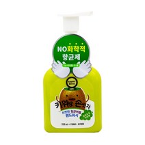 MDF2362 BTM 해피바스 키위랑 손씻자 버블 핸드워시 250ml